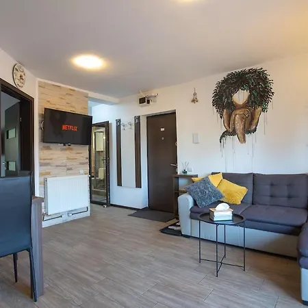 Apartament Art Loft -near Coresi Mall *
