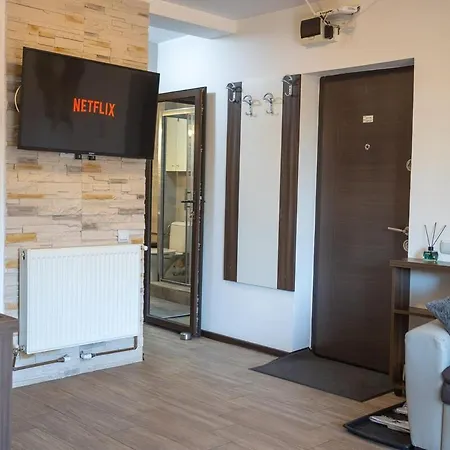 Art Loft -near Coresi Mall Apartment