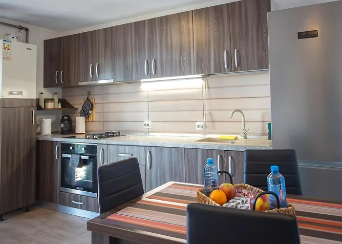 公寓 Art Loft -near Coresi Mall 布拉索夫