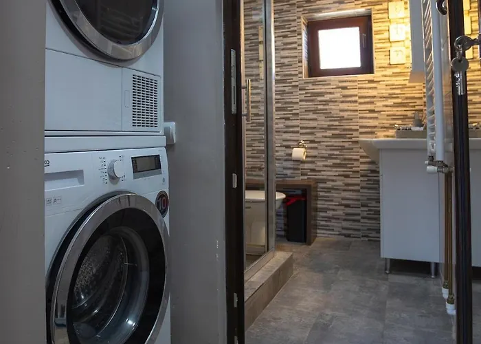 公寓 Art Loft -near Coresi Mall *