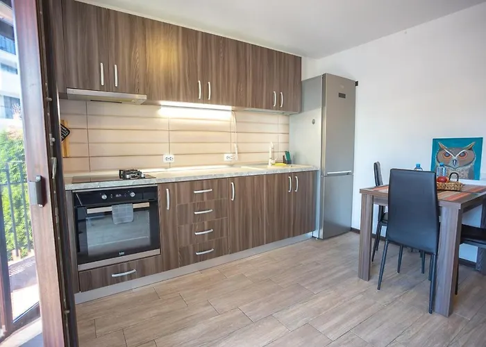 公寓 Art Loft -near Coresi Mall *