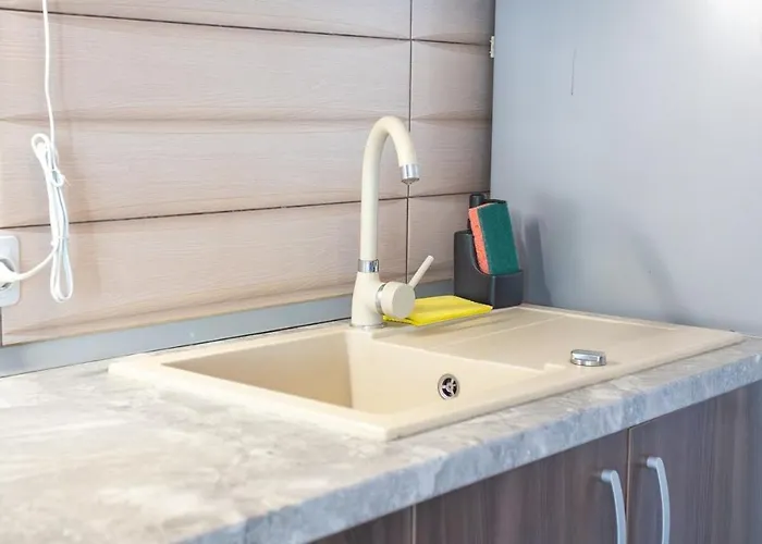 Art Loft -near Coresi Mall 公寓 *