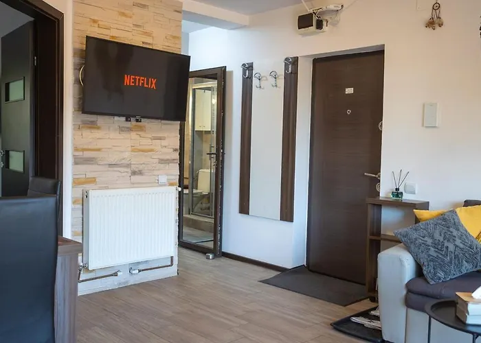 Art Loft -near Coresi Mall 公寓