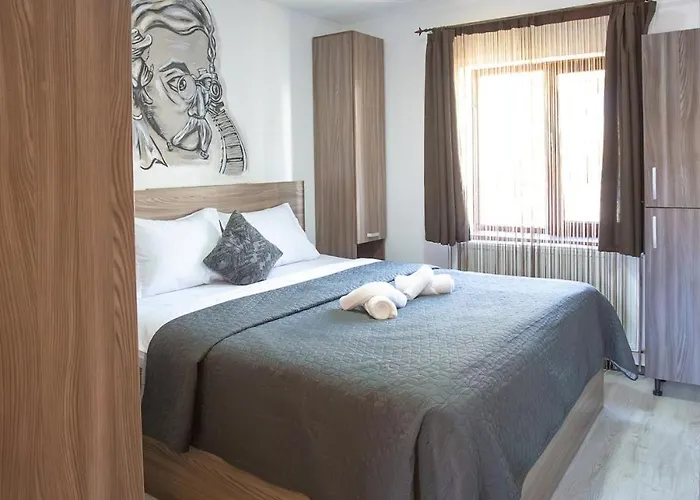 公寓 Art Loft -near Coresi Mall *